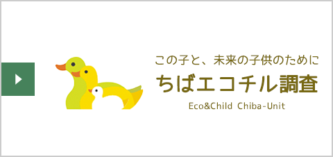 Japan Environment and Children’s Study (JECS)