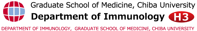 DEPARTMENT OF IMMUNOLOGY, GRADUATE SCHOOL OF MEDICINE, CHIBA UNIVERSITY