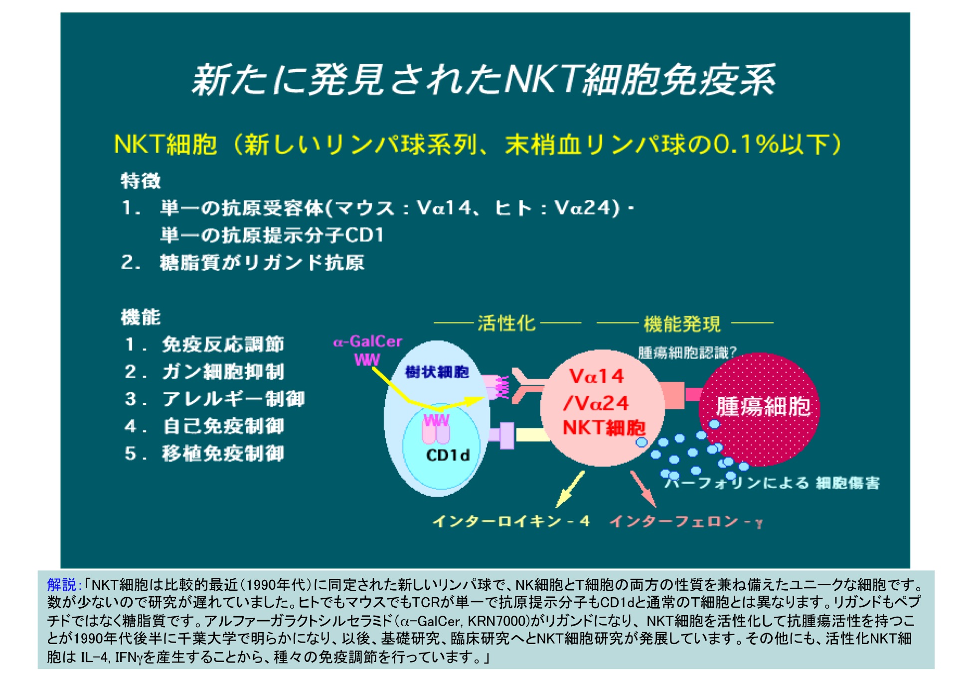 細胞分化の本質はクロマチンリモデリングである。