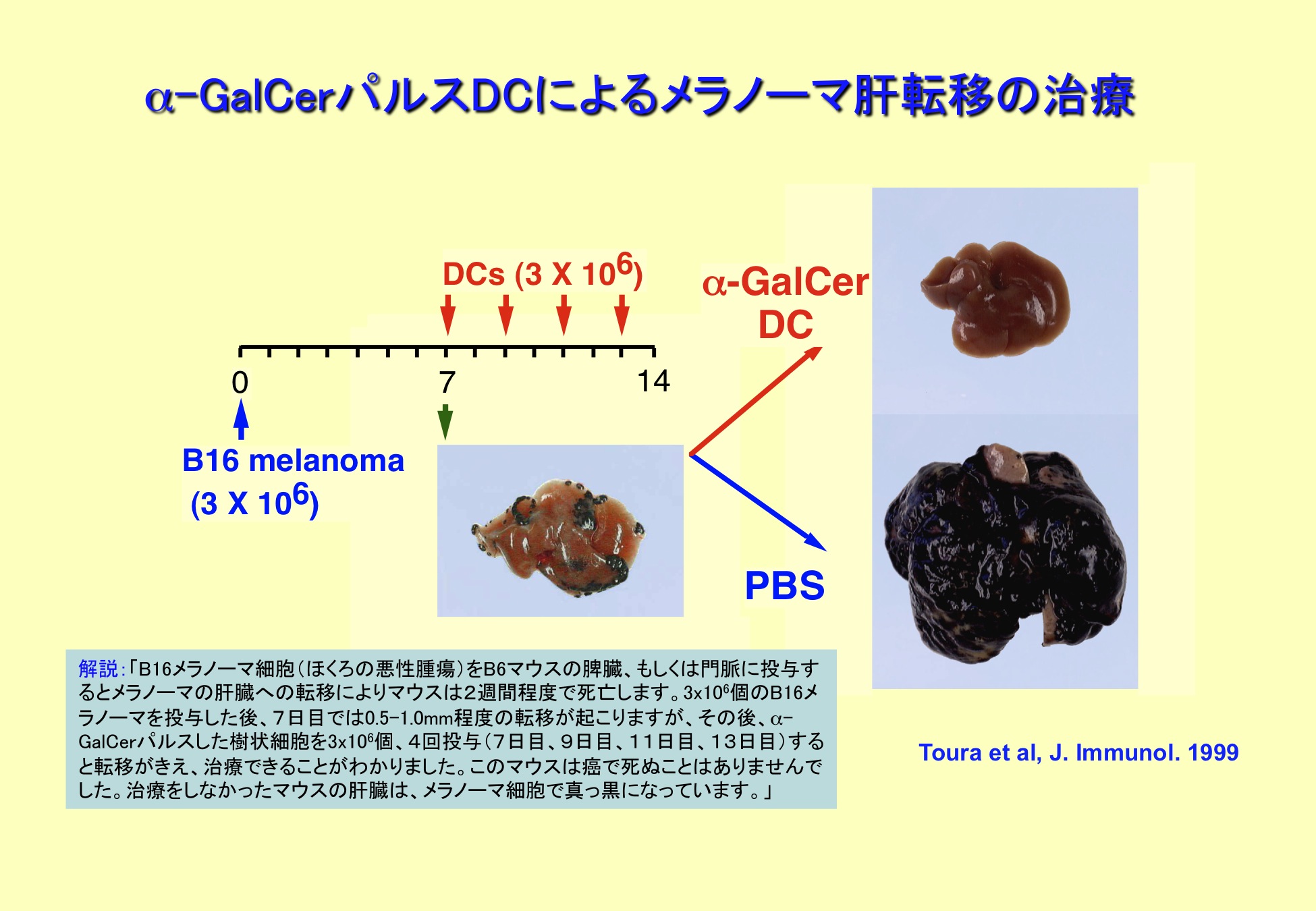 細胞分化の本質はクロマチンリモデリングである。