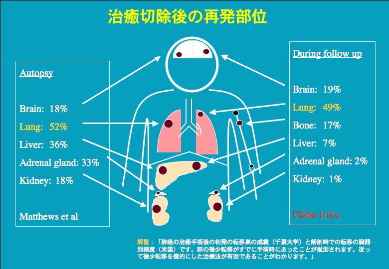 細胞分化の本質はクロマチンリモデリングである。