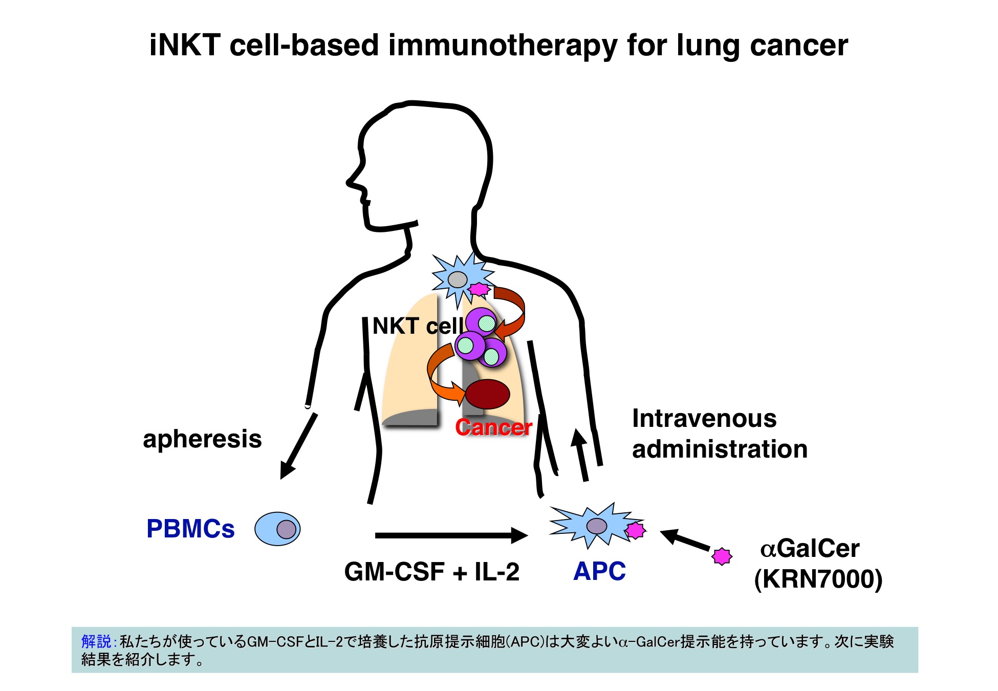 細胞分化の本質はクロマチンリモデリングである。