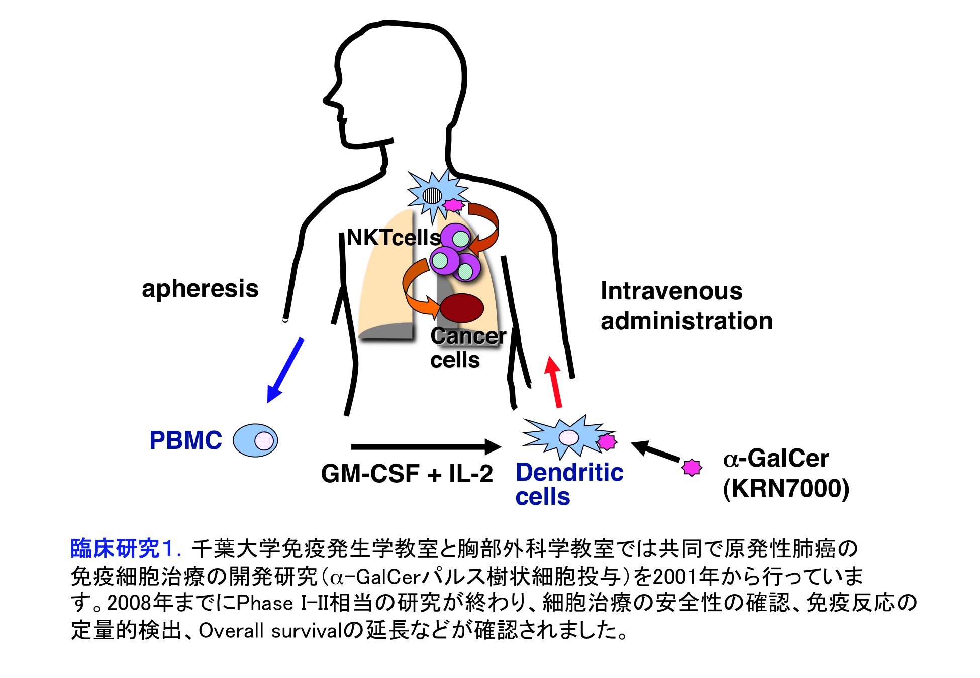 細胞分化の本質はクロマチンリモデリングである。