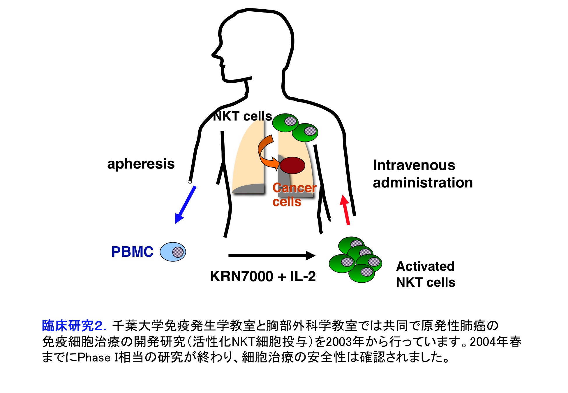 細胞分化の本質はクロマチンリモデリングである。