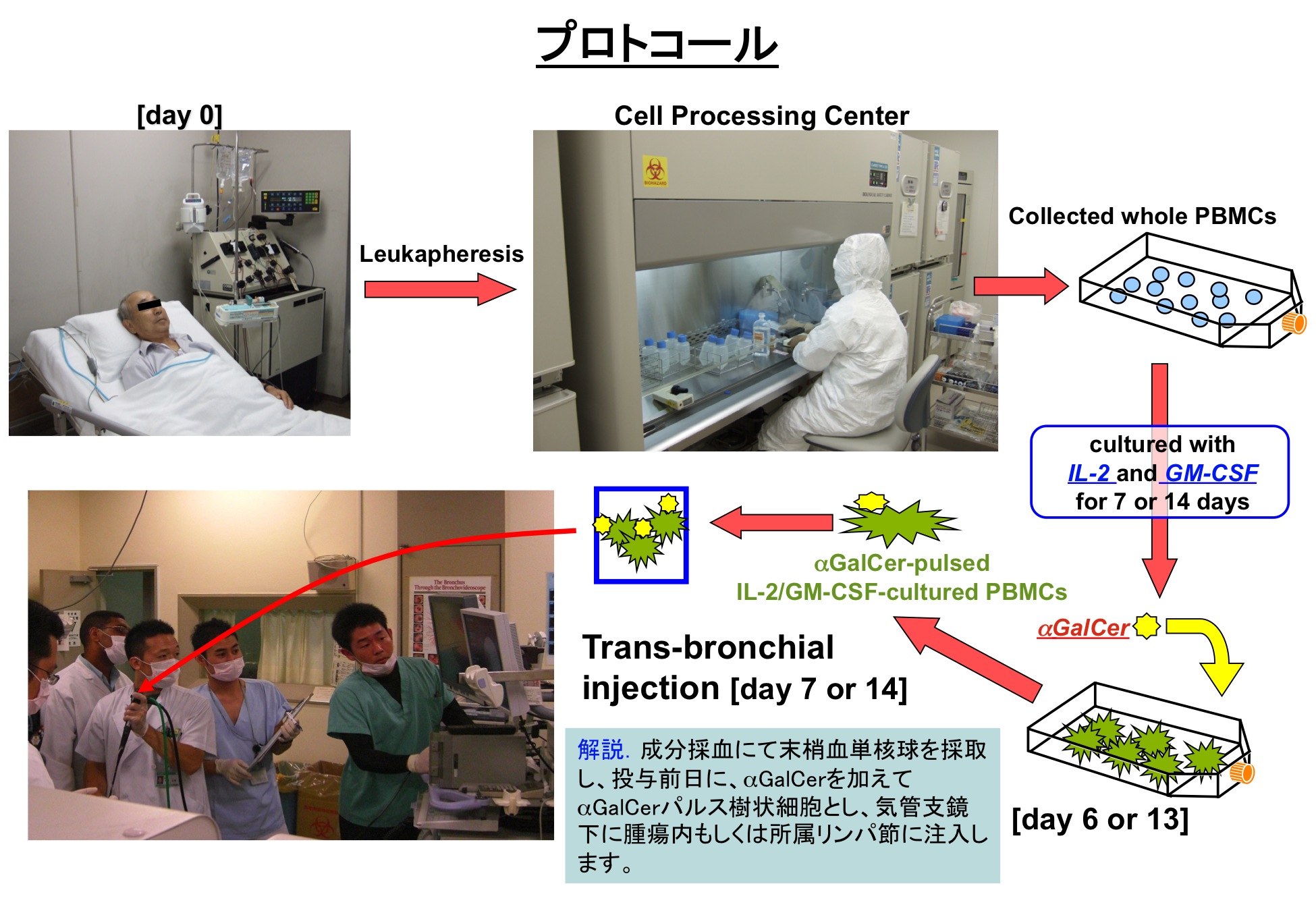 細胞分化の本質はクロマチンリモデリングである。