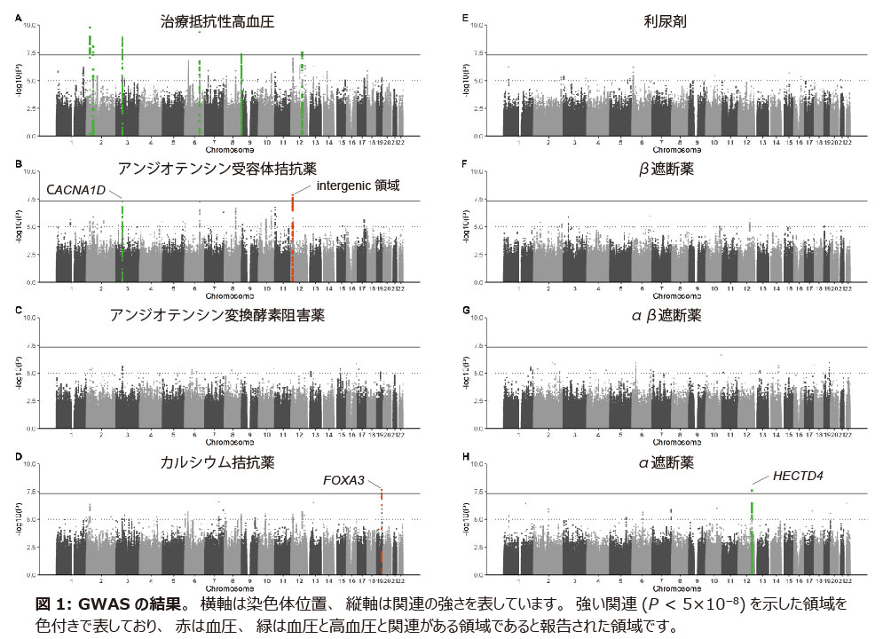 RHTN_230510_Fig1.jpg