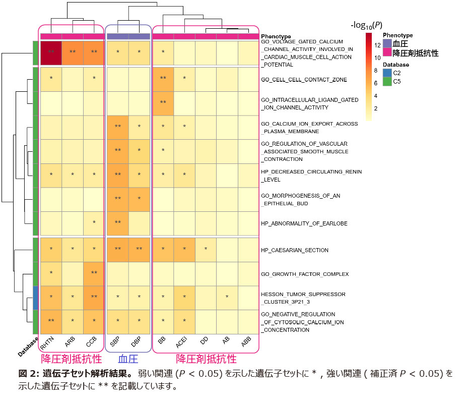 RHTN_230510_Fig2.jpg