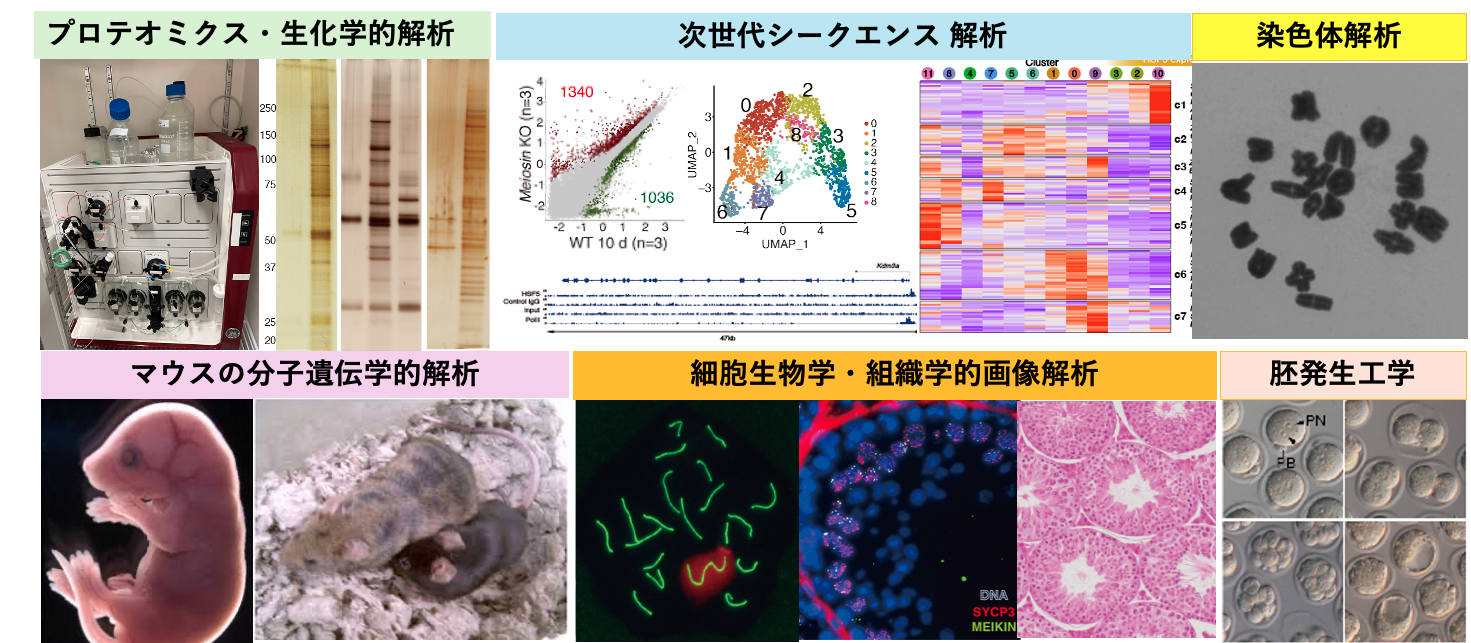 研究内容HP fig.png