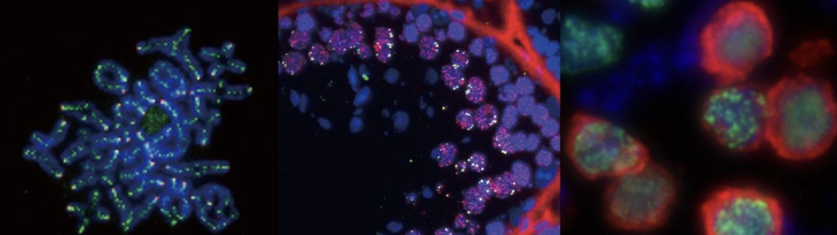 ページタイトル画像