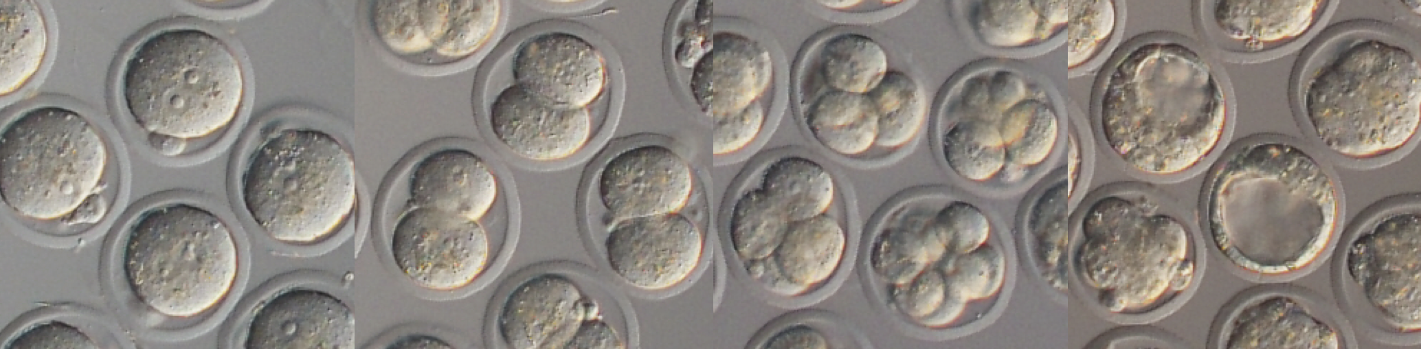 スクリーンショット 2025-09-30 18.35.46.png