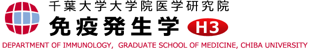 千葉大学大学院医学研究院　免疫発生学