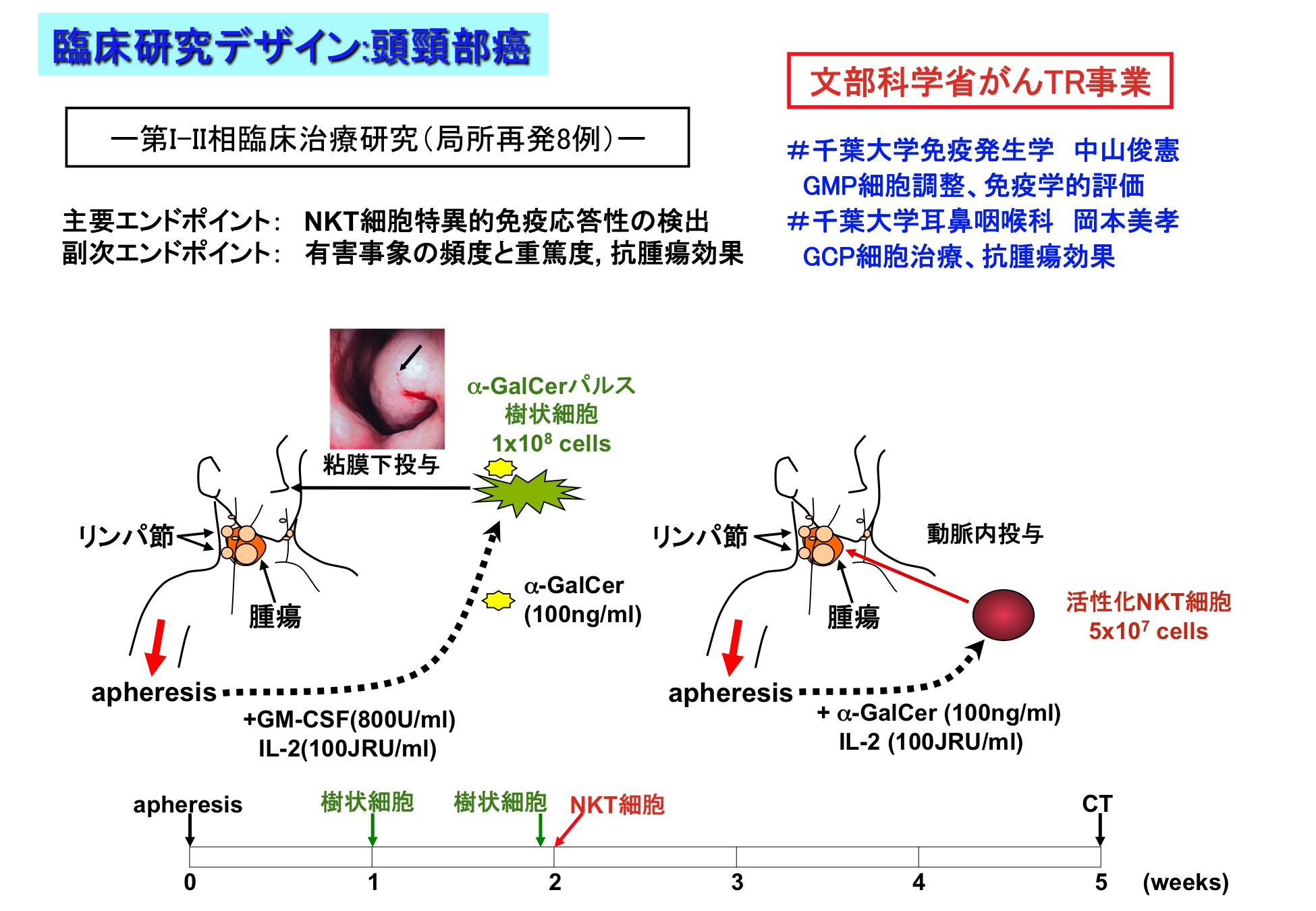 細胞分化の本質はクロマチンリモデリングである。