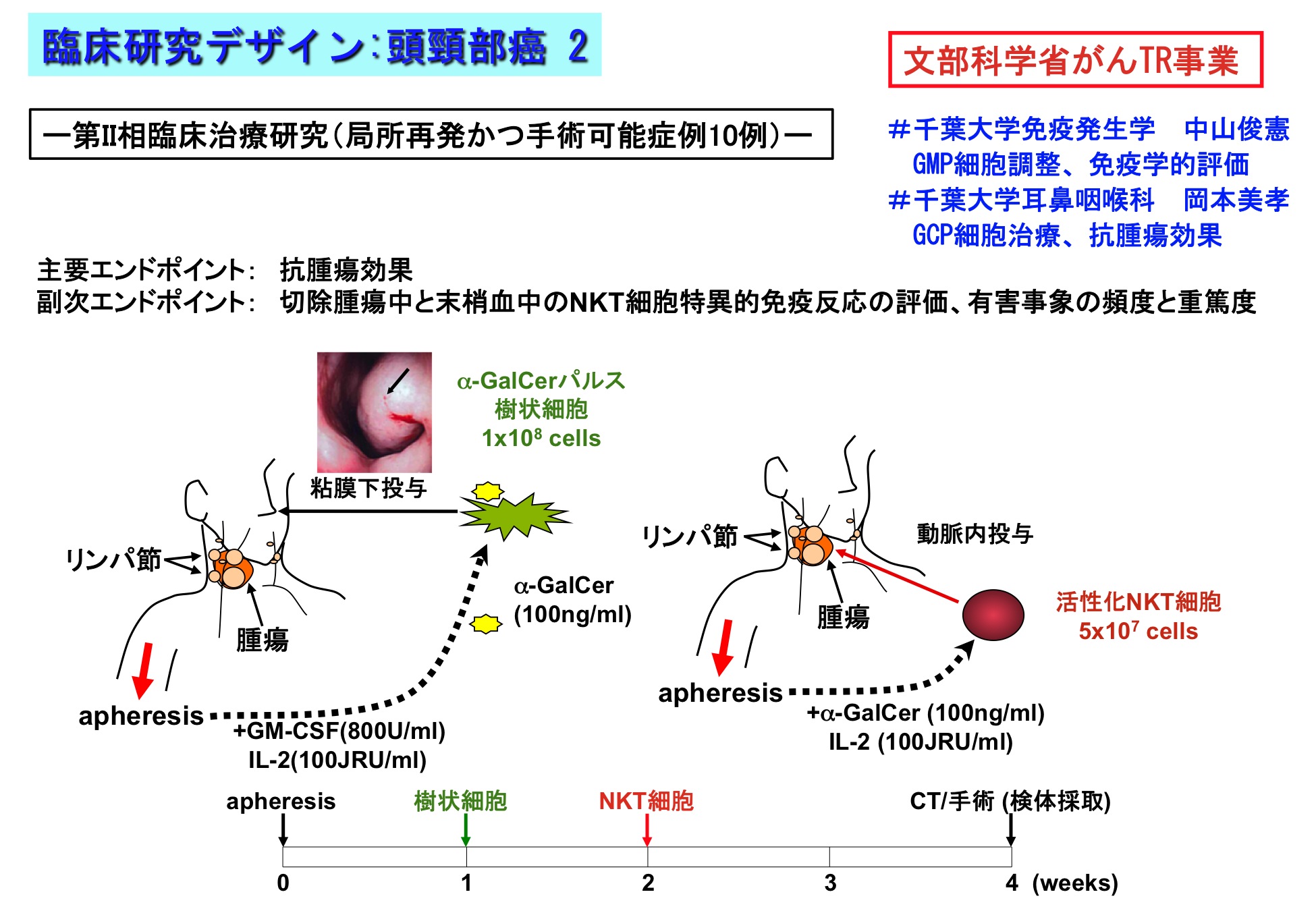 細胞分化の本質はクロマチンリモデリングである。