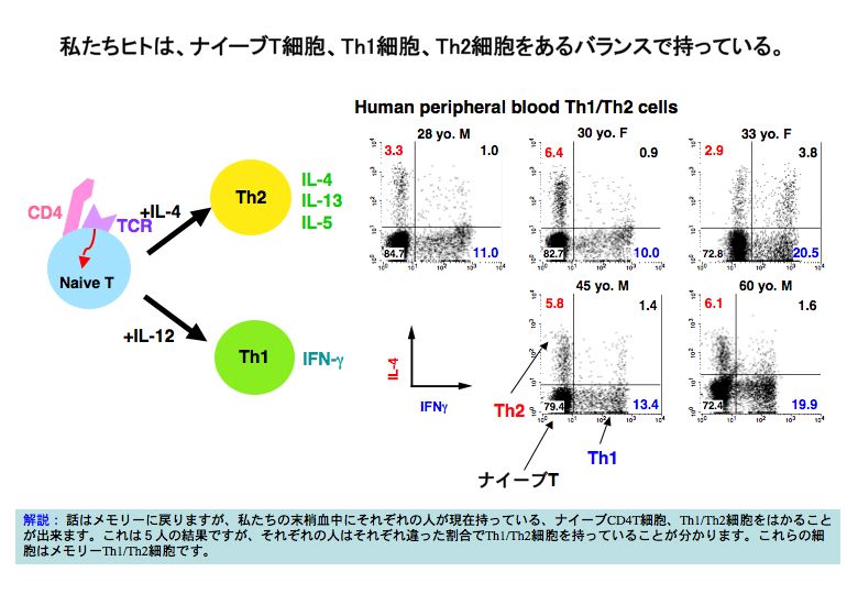 細胞分化の本質はクロマチンリモデリングである。