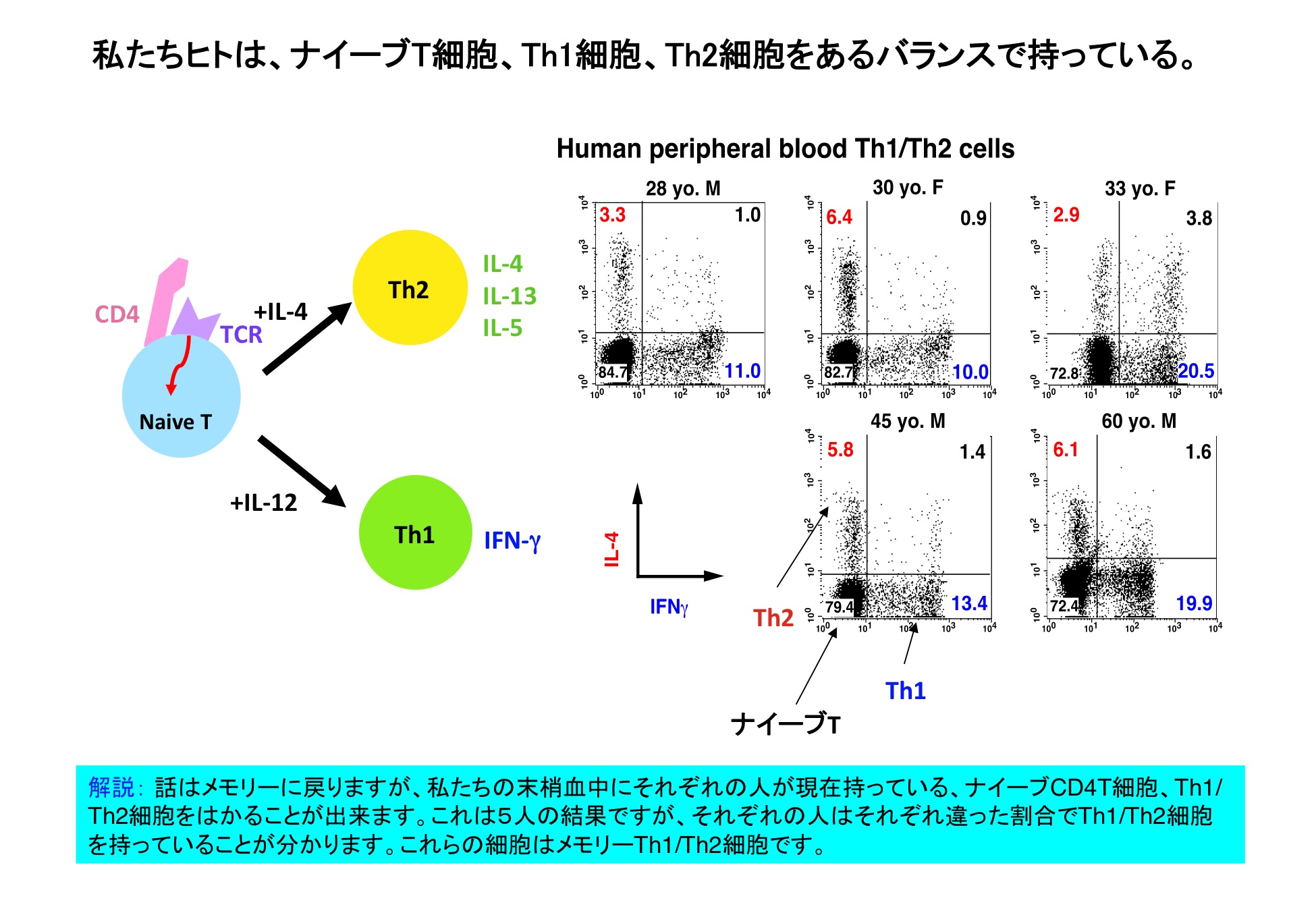 細胞分化の本質はクロマチンリモデリングである。