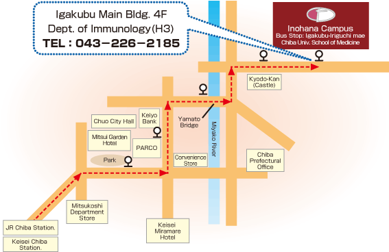 chiba university access map