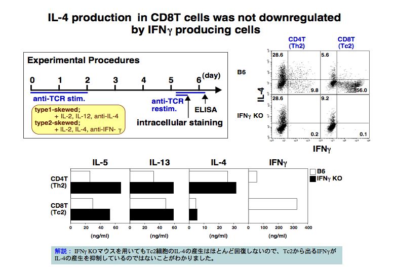 IL-4 production In CD8T cells was not downregulated by IFNy producing cells