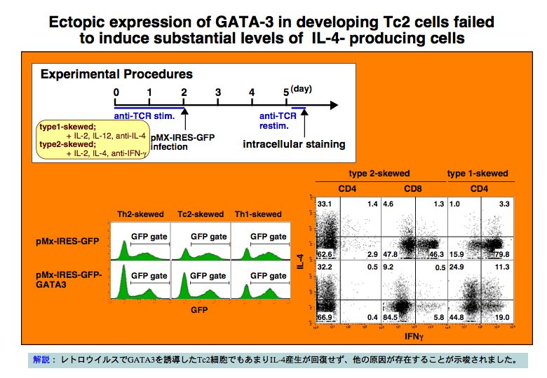 Ectopic ecpession of GATA-3 in developing Tc2 cells failed to induce substantial levels of IL-4-producing cells