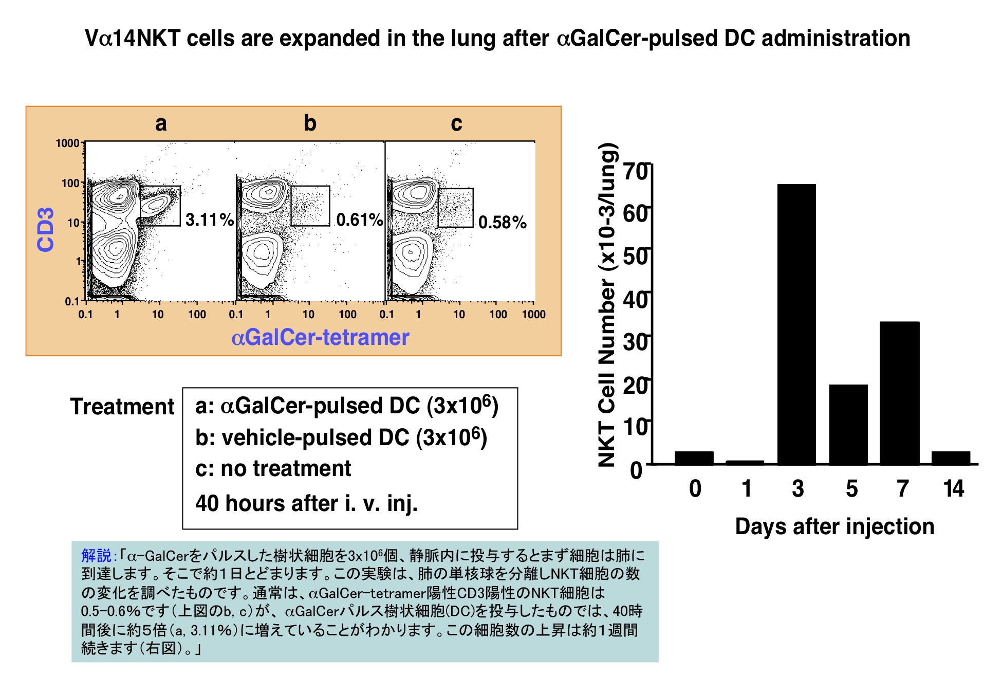 細胞分化の本質はクロマチンリモデリングである。