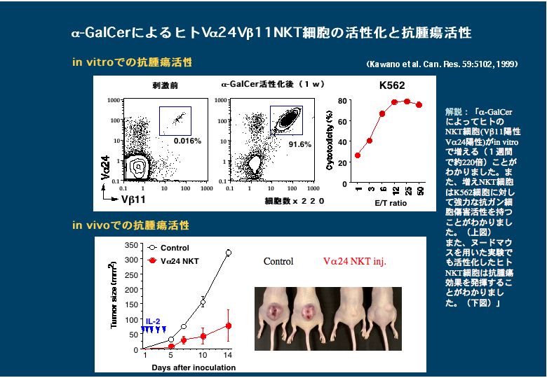 細胞分化の本質はクロマチンリモデリングである。