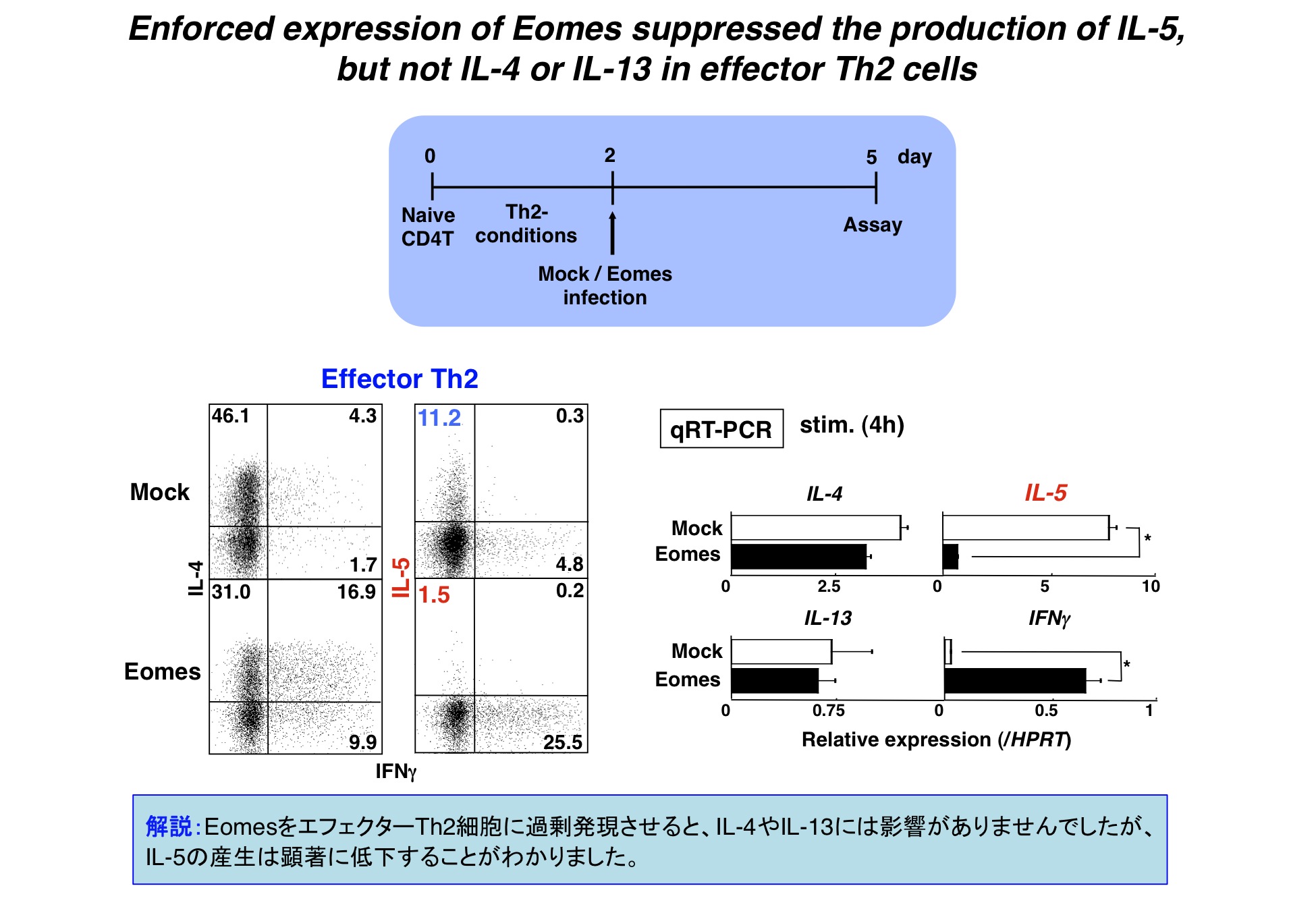 細胞分化の本質はクロマチンリモデリングである。