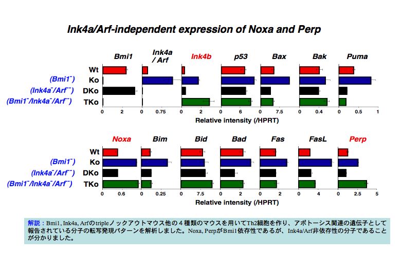 細胞分化の本質はクロマチンリモデリングである。