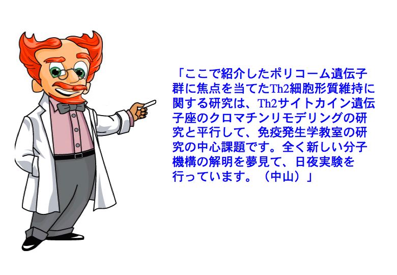 ここで紹介したポリコーム遺伝子群に焦点を当てたTh2細胞形質維持に関する研究は、Th2サイトカイン遺伝子座のクロマチンリモデリングの研究と平行して、免疫発生学教室の研究の中心課題です。全く新しい分子機構の解明を夢見て、日夜実験を行っています。（中山）