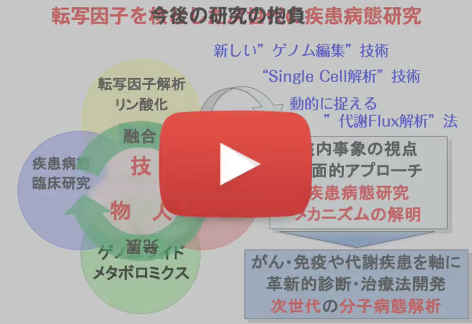 千葉大学 分子病態解析学講座｜がん・発生・エピゲノム・RNA・内分泌