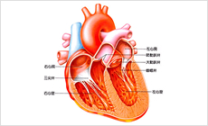 心臓弁膜症