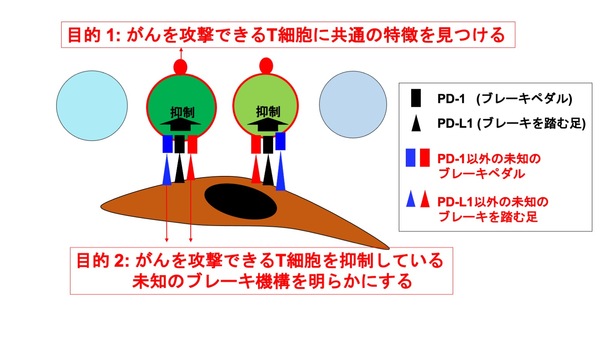 210401_ino_res2.jpg