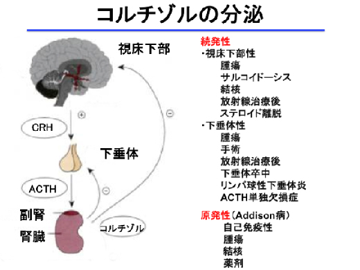 study_slide01_27.jpg