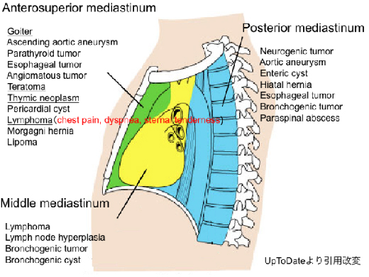 study_slide02_16.jpg