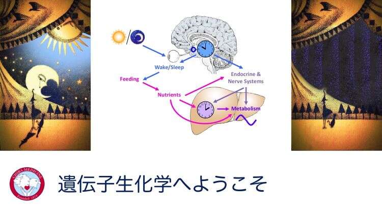 メインイメージ