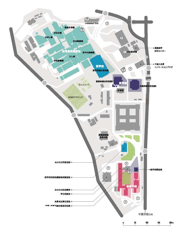 千葉大学大学院医学研究院 医学部 キャンパスマップ